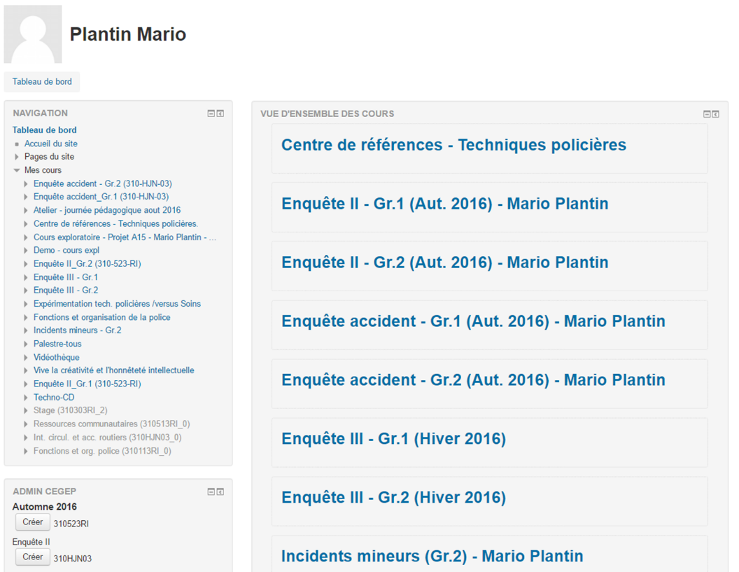 Screenshot – Plantin Mario - Dashboard