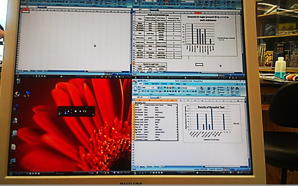 A LiteShow 3 enabled display in the Biology Lab