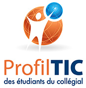Logo du Profil TIC