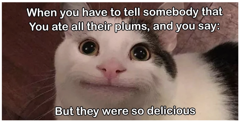 In this sample meme created by a student on the poem “This is Just to Say” by William Carlos Williams, there is a close-up picture of a cat staring at a camera with a somewhat human-like polite expression on its face. It reads: “When you have to tell somebody that You ate all their plums, and you say: But they were so delicious”. 